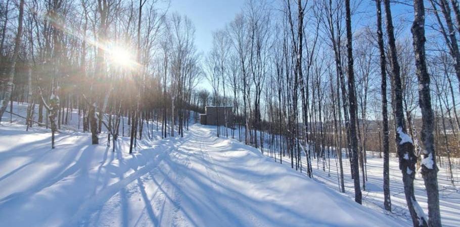 Chalet Serenity - Mont Tremblant Ski - Spa Sauna Wifi Tv Privet Chic Modern House Villa La Conception Exterior foto